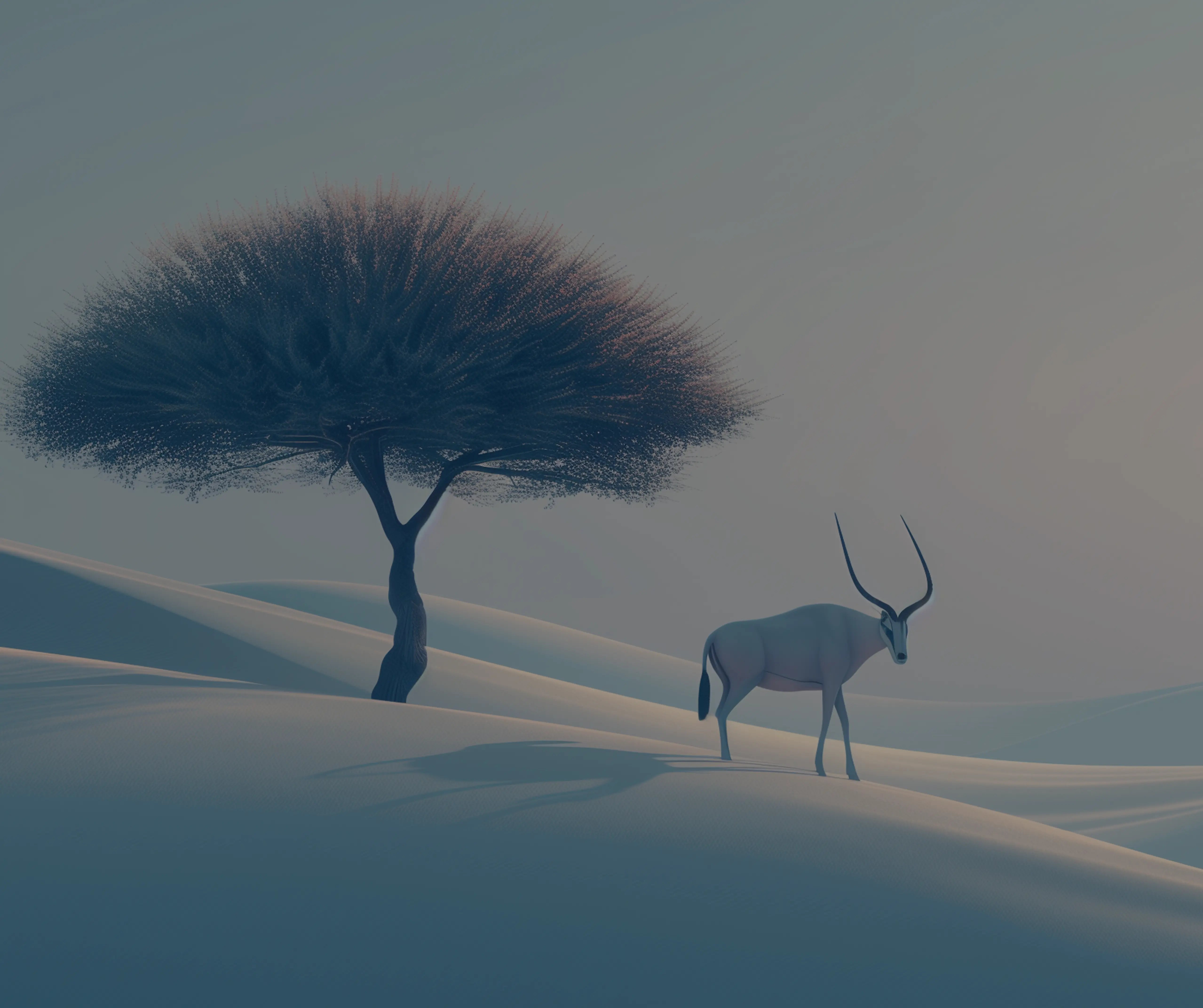 ZORÁE Access Section Background Image